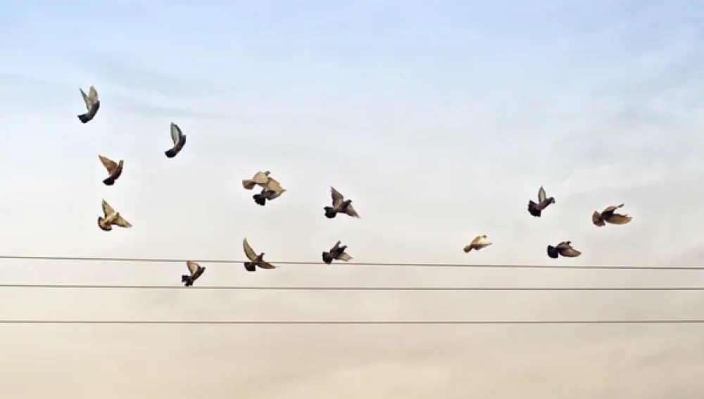 γεώργιος κ. τασούδης